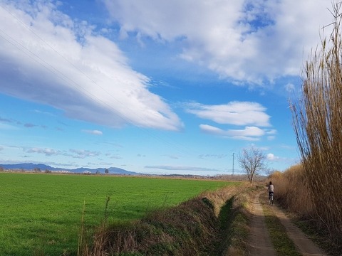 Cycling in the Empordà plain